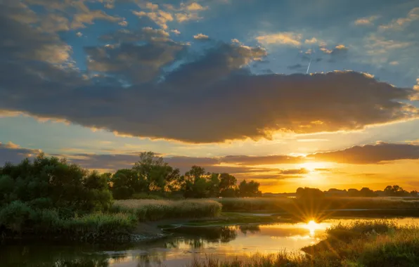 Summer, the sky, grass, the sun, clouds, rays, light, sunset