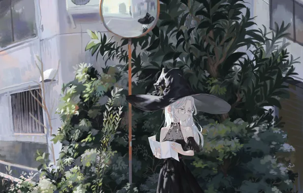 The city, Bush, map, witch