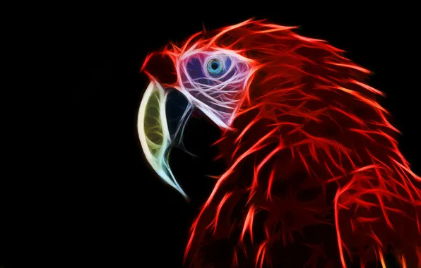 Parrot, ara, fractal, fractal art