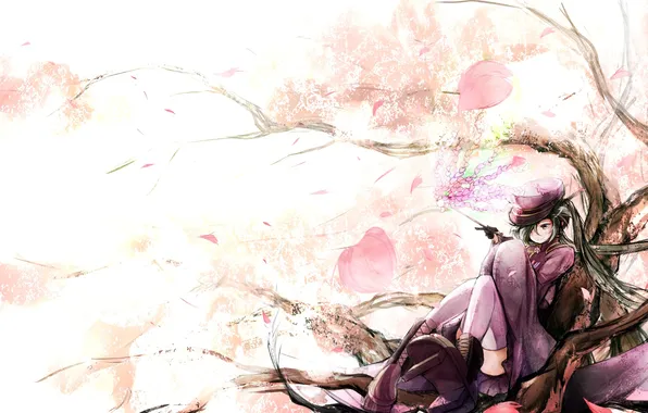 Picture girl, branch, hat, petals, Sakura, art, vocaloid, hatsune miku