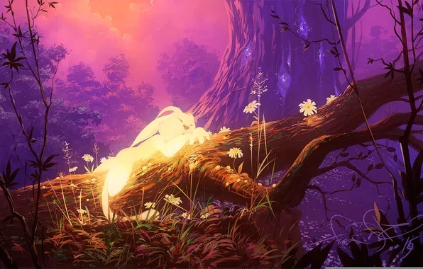Picture forest, trees, art, Ori, Ori and the Blind Forest