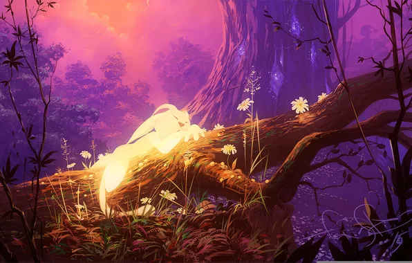 Picture forest, trees, art, Ori And The Blind Forest, Ori