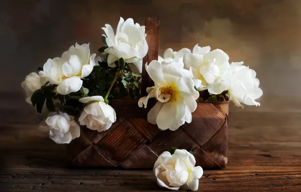 Roses, basket, white roses