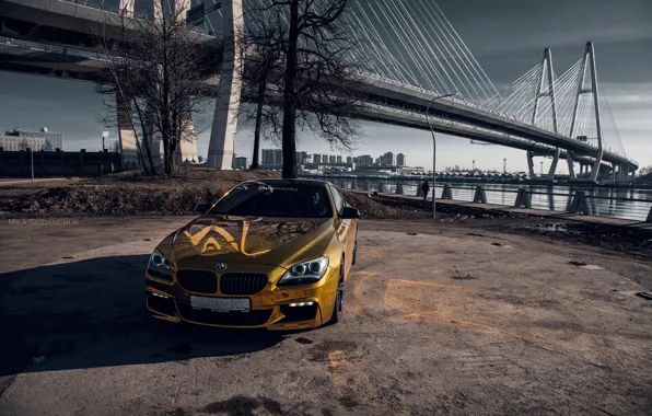 Car, machine, auto, bridge, city, fog, race, bmw