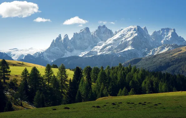 Forest, clouds, mountains
