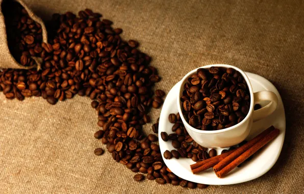 Picture coffee, grain, sticks, Cup, white, cinnamon, bag, saucer
