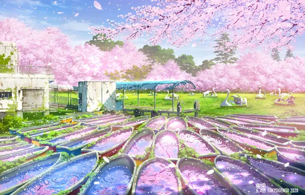 Park, Sakura, Tokyo, flowering, abandoned