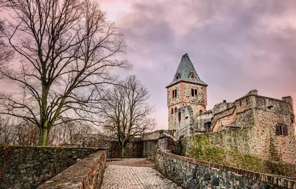 Germany, Castle Frankenstein, Darmstadt