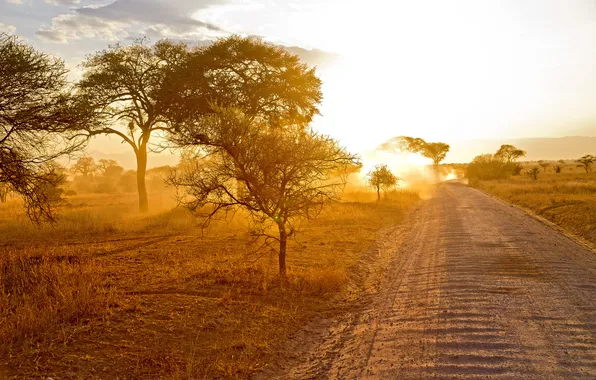 Road, landscape, morning, Africa