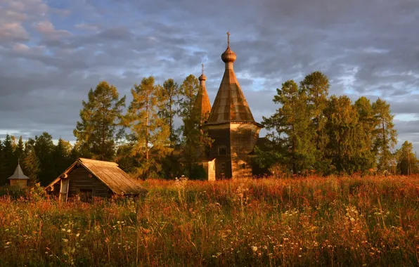 Picture field, Russia, architecture, pine, wooden architecture