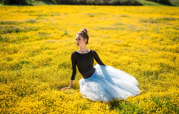 Picture grass, girl, meadow
