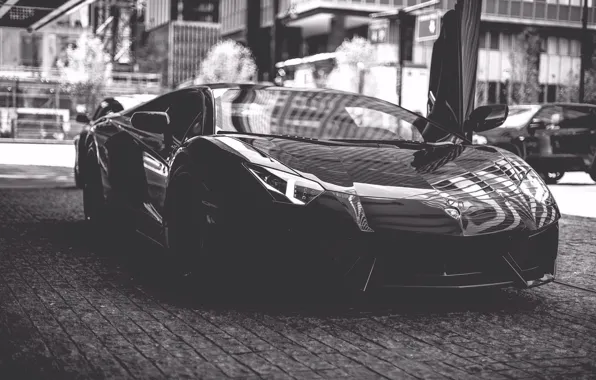 Picture Lamborghini, street, Aventador