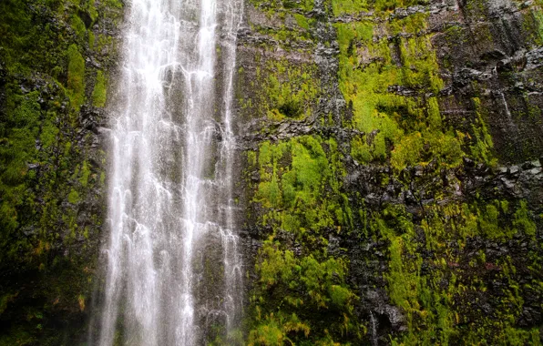 Waterfall, Hawaii, USA, USA, Hawaii, Haleakala national Park, Maui, Haleakalā National Park