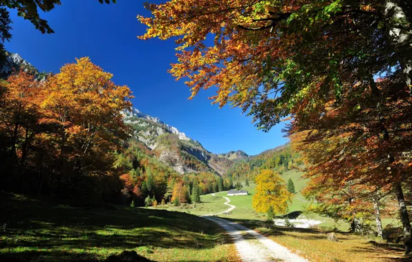 Nature, Mountains, Autumn, Forest, Nature, Autumn, Mountains, Forest