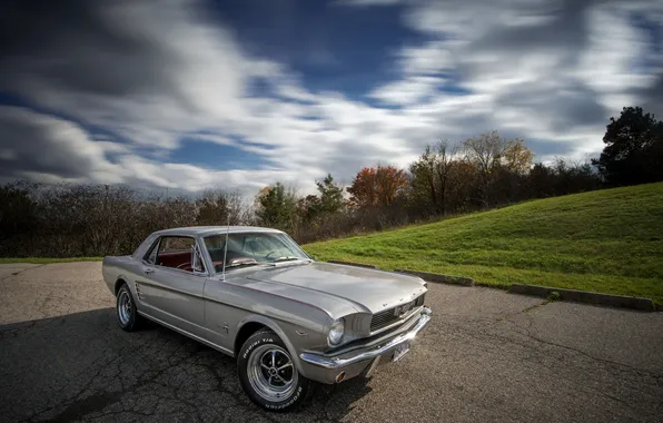 Mustang, Automobiles, Long Exposure