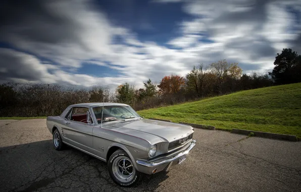 Picture Mustang, Automobiles, Long Exposure