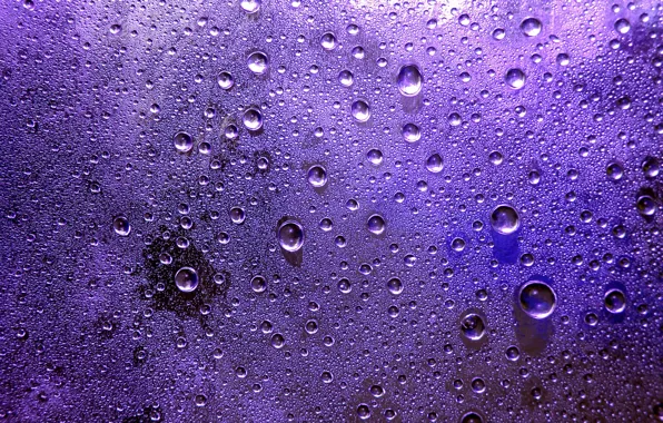 Picture purple, drops, background