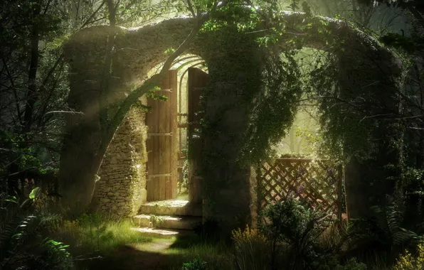 Light, vegetation, arch, stage, Overgrown Garden