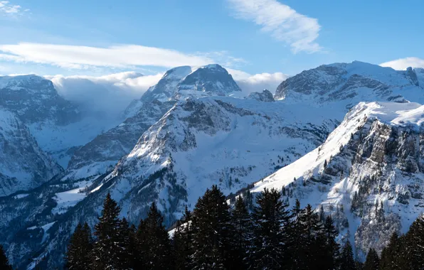 Winter, forest, the sky, the sun, clouds, snow, trees, mountains