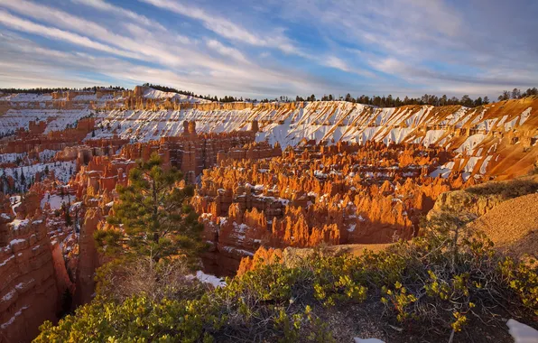 Snow, rocks, canyon, gorge, Utah, USA, Bryce Canyon National Park