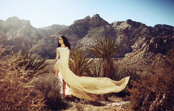 Picture girl, mountains, desert, model, cacti, plate