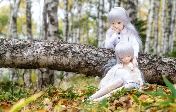 Picture nature, hair, girls, toys, doll, lilac