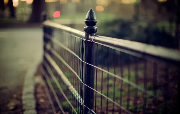 Macro, the fence, grille