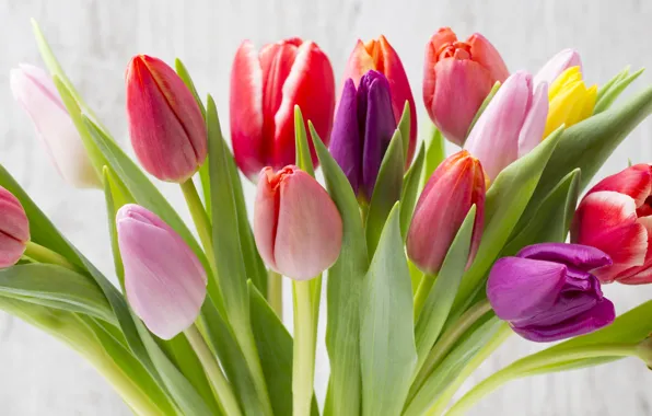 Picture flowers, bouquet, colorful, tulips, fresh, wood, flowers, beautiful