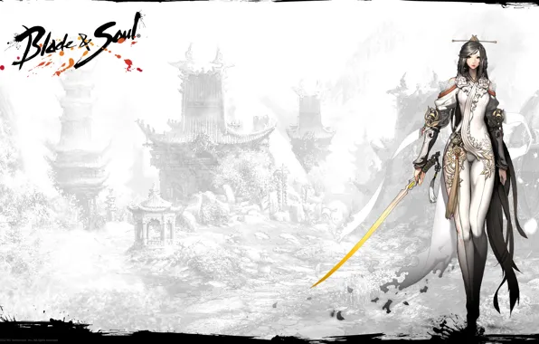 Picture girl, weapons, sword, blade, game, soul, mmorpg, ncsoft