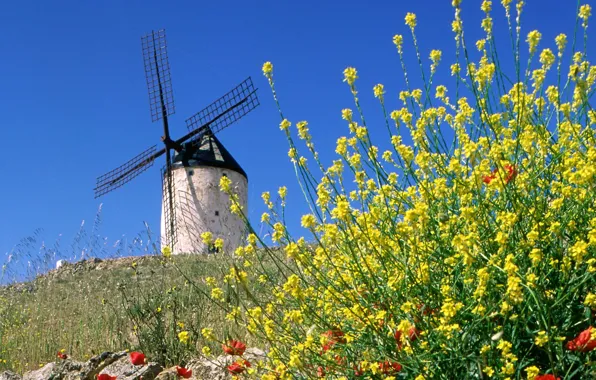 Picture flowers, mill, Spain