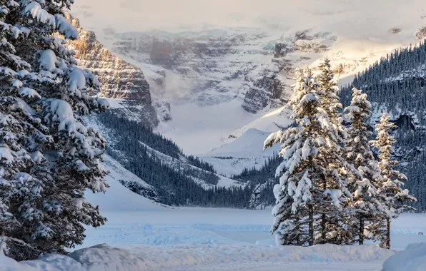 Winter, snow, trees, mountains, lake, ate, Canada, Albert