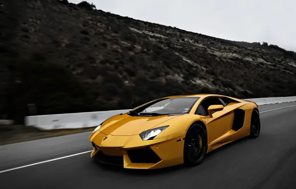 Picture Lamborghini, Yellow, speed, LP700-4, Aventador, Supercars, Exotic