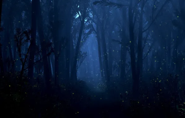 Forest, light, trees, night, fireflies, lights
