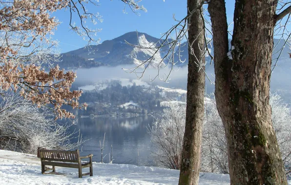 Winter, trees, bench, river
