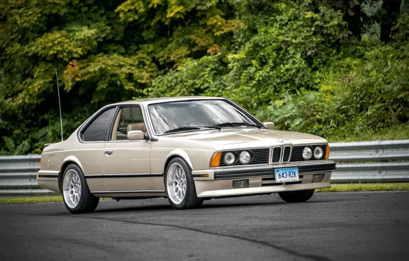 BMW, E24