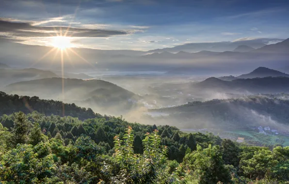 Forest, the sky, the sun, clouds, rays, trees, mountains, sunrise