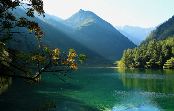 The sun, trees, mountains, branches, lake, beauty, China, Jiuzhaigou National Park