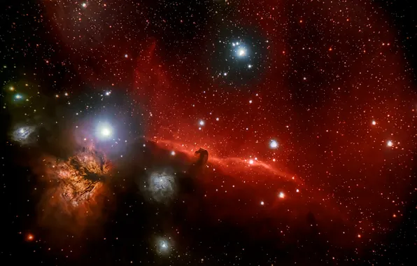 Picture Horse Head, Orion, in the constellation, dark nebula