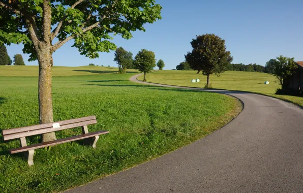 Picture road, summer, trees, bench
