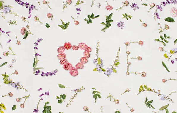 Love, flowers, heart, petals, love, heart, pink, flowers