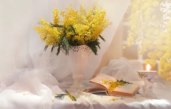 Picture bouquet, book, Mimosa