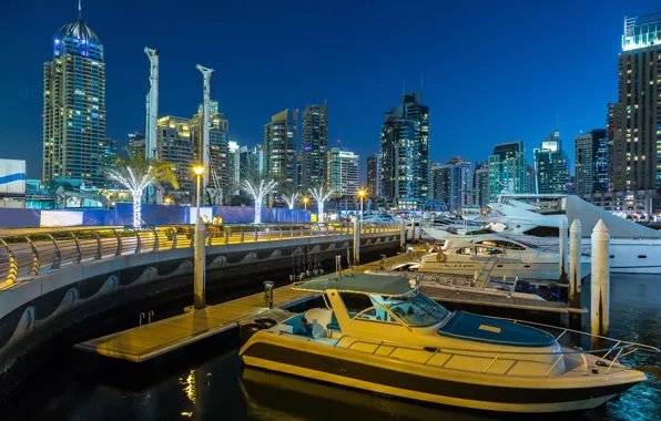 Night, the city, skyscraper, panorama, Dubai, Dubai, Panorama