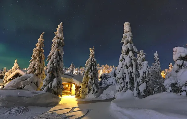 Snow, Snow, Northern Lights, Northern Lights, Winter Night, Winter Night