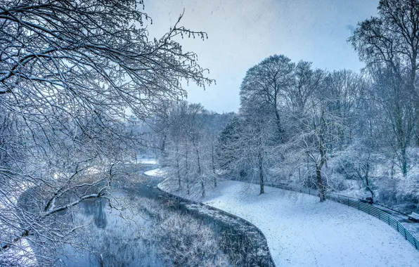 Winter, snow, trees, lake, Park, reflection