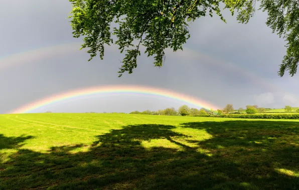 Picture field, nature, rainbow