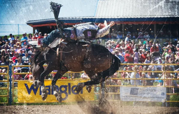 Background, sport, Rodeo