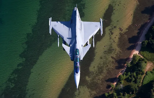 Gripen, multi-role fighter, Can JAS, 39D