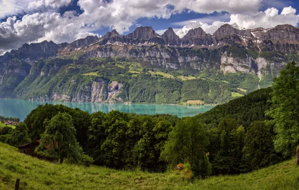 Trees, mountains, lake, Switzerland, Alps, meadow, panorama, Switzerland