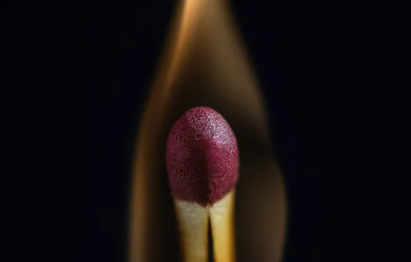 Fire, flame, match
