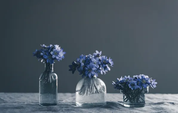 Bouquet, petals, still life